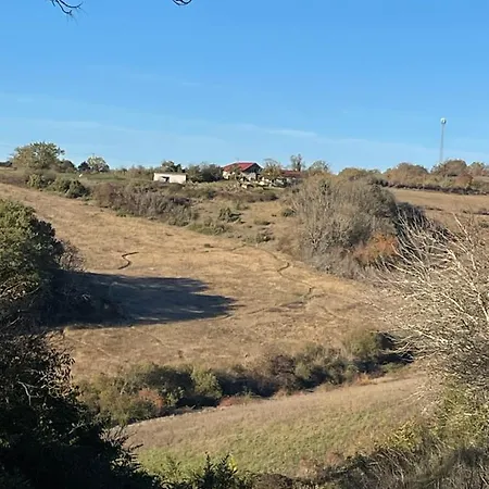 Séjour chez l'habitant Vignes Zimer 1 - Ou Le Calm Apaise L'ame *