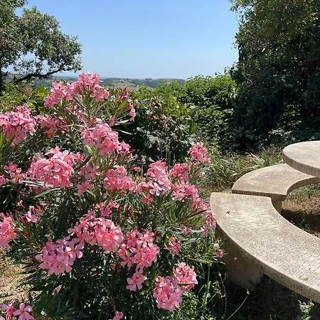 Homestay Vignes Zimer 1 - Ou Le Calm Apaise L'ame